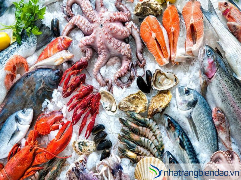 Chợ Hải Sản Nha Trang